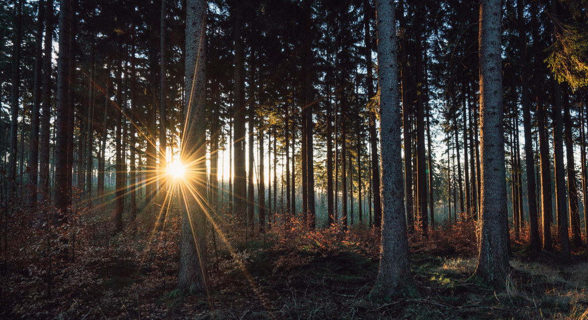 Sonnenaufgang - Mixplor - Fotoblogger, Fotografie, Mirko Fikentscher