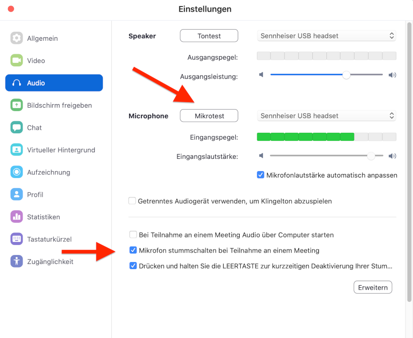 Zoom Einstellungen Audio