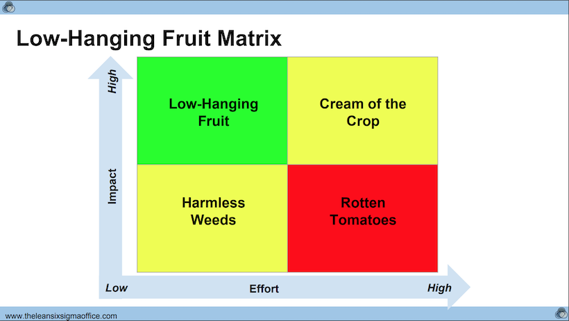 Low Hanging Fruits Matrix Einstein1