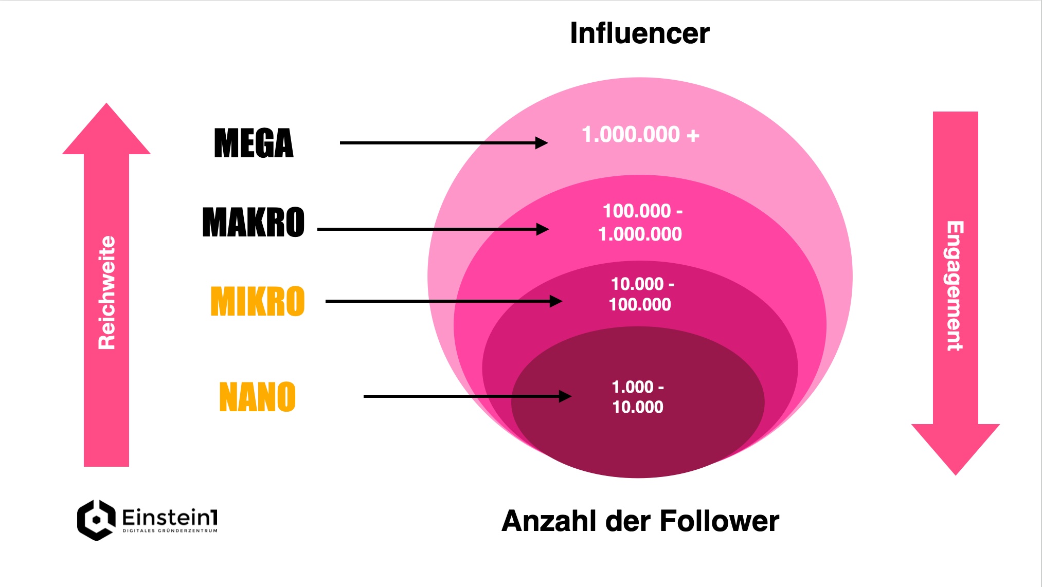 nano-influencer-kleine-influencer-mit-hoher-autorität-arten-von-influencern-einstein1
